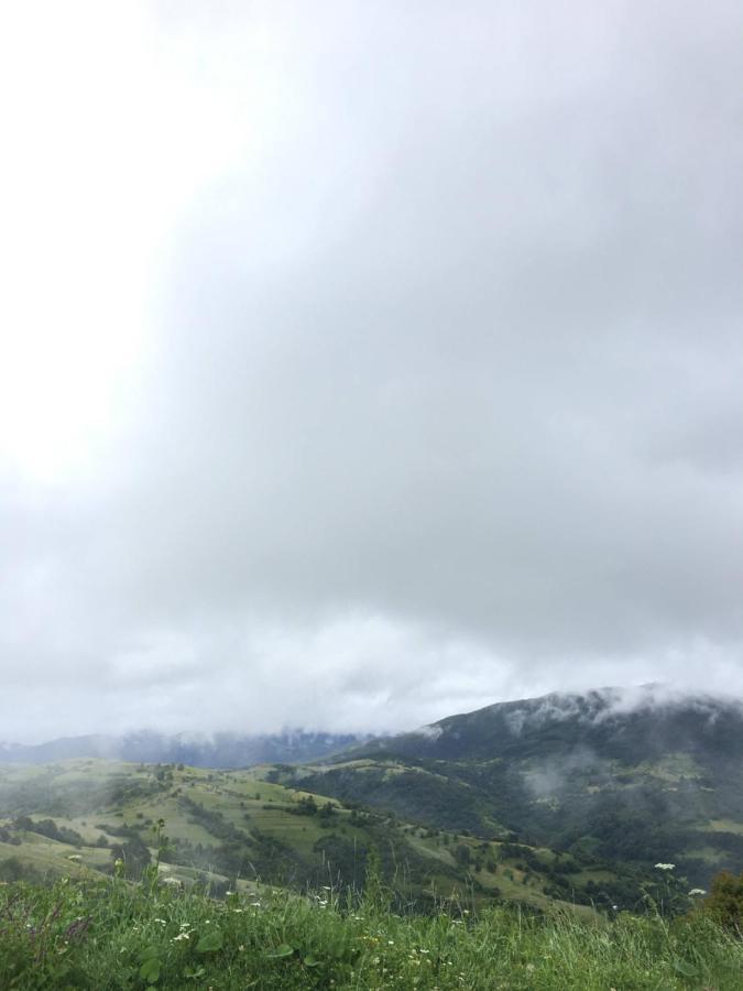 Садиба Between Mountains Mizhhirya  외부 사진
