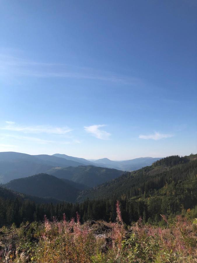 Садиба Between Mountains Mizhhirya  외부 사진