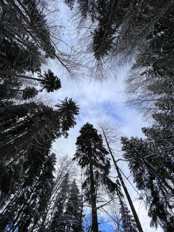 Садиба Between Mountains Mizhhirya  외부 사진