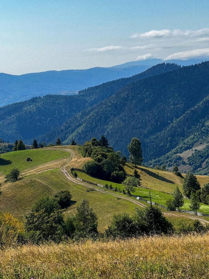 Садиба Between Mountains Mizhhirya  외부 사진