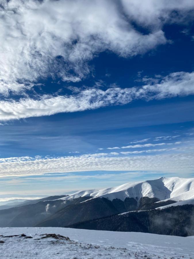 Садиба Between Mountains Mizhhirya  외부 사진