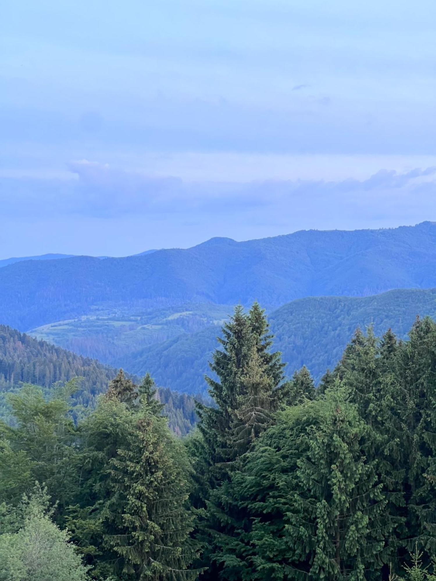 Садиба Between Mountains Mizhhirya  외부 사진